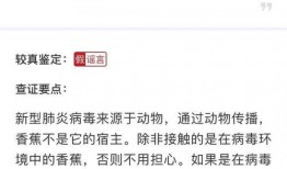 爆料西港段子大全最新版,最新爆笑集锦，笑料横生，欢乐无限